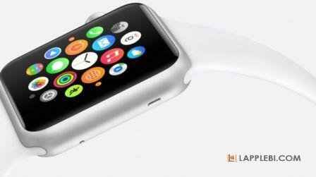 Apple Watch       100$ 