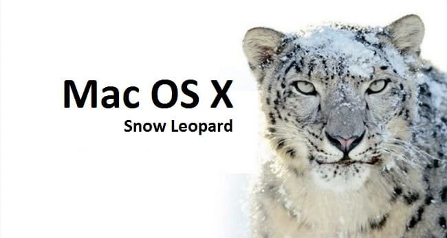    Snow Leopard