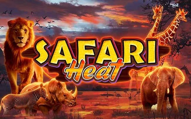 Играть в слот Safari Heat от Rox Casino