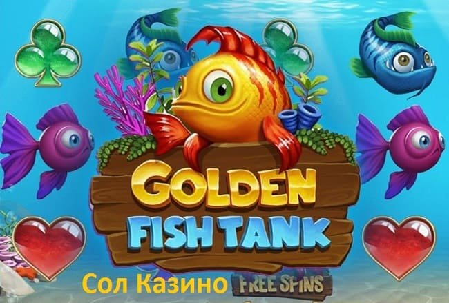 Golden Fish Tank в Сол Казино