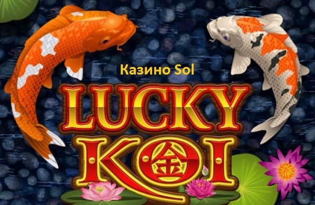 Lucky Koi:      Sol