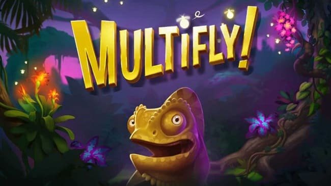   MultiFly     