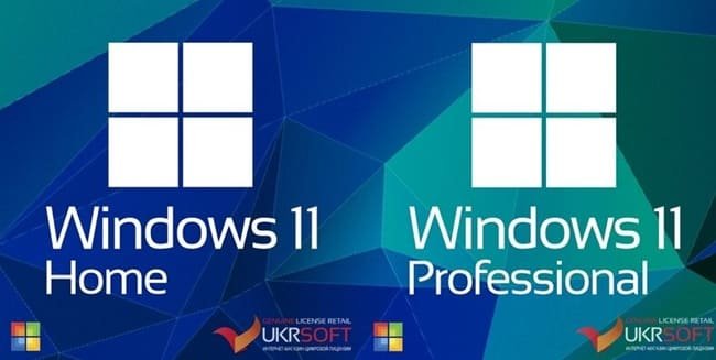    Windows 11  Windows 11 Professional  UkrSoft.com.ua